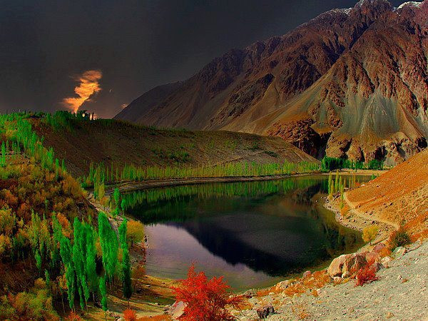 photogallery