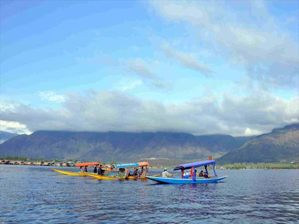 photogallery