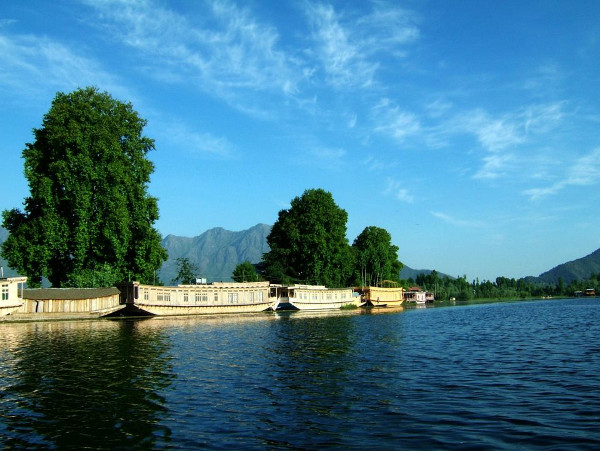 photogallery